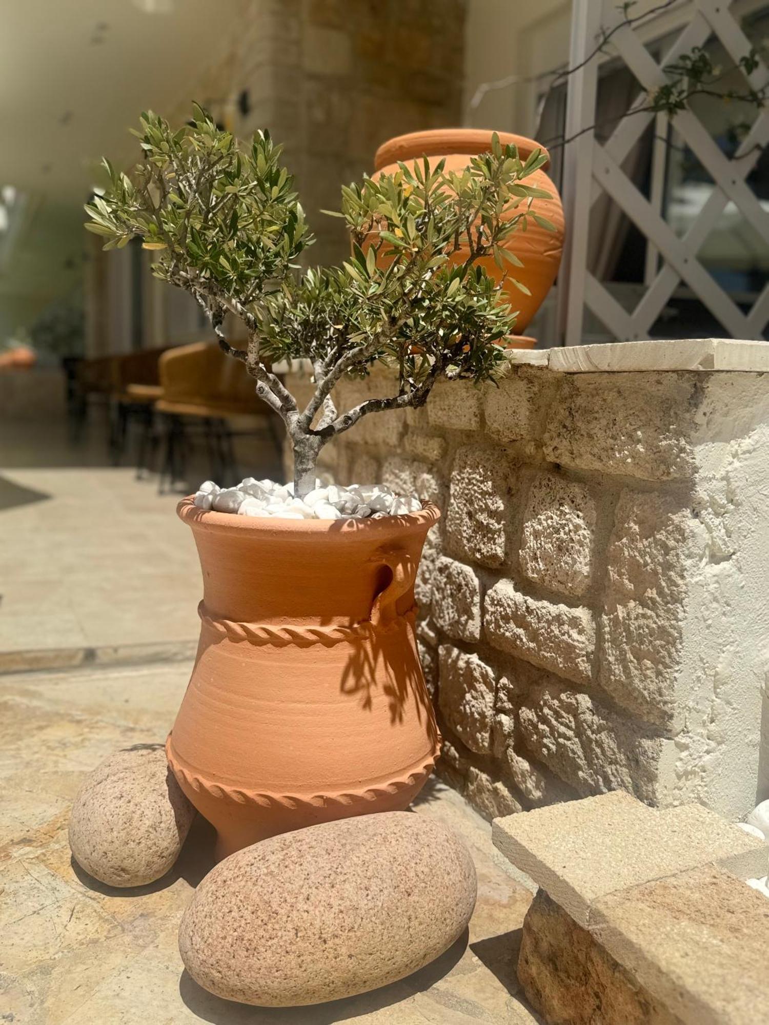 Melis Studios Kallithea  Luaran gambar